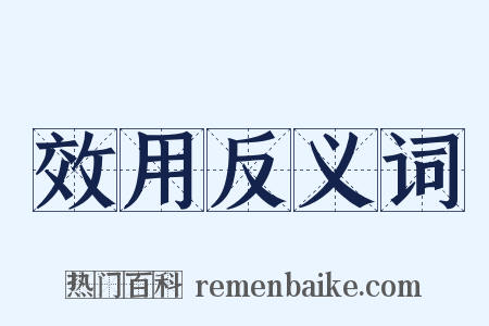 效用反义词是什么意思的图片